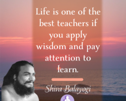 Life is one of the best teachers