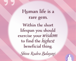 Human life is a rare gem