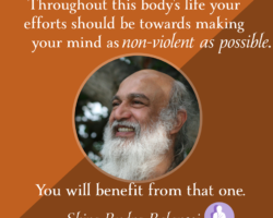 Your efforts should be towards making your mind as non-violent as possible