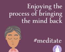 Enjoying the process of bringing the mind back