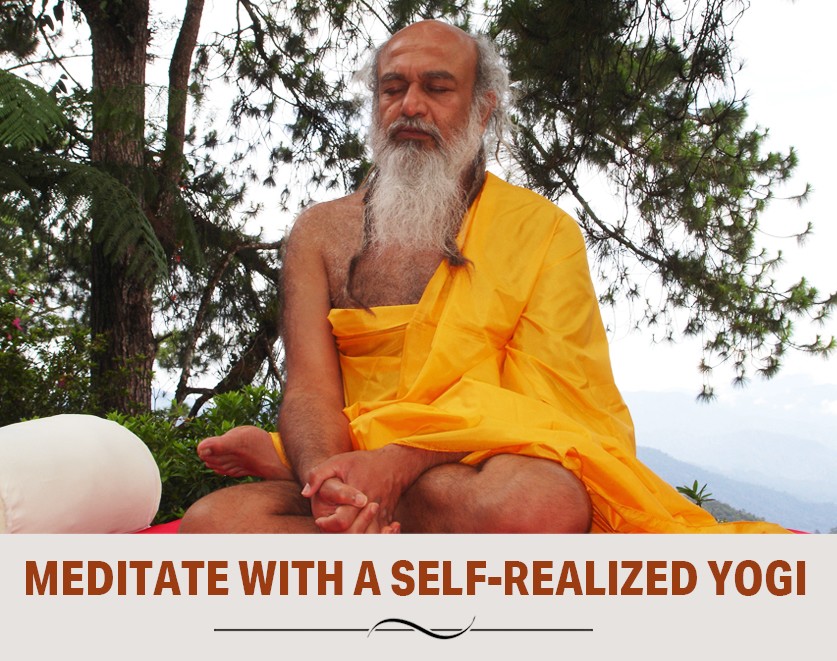 Meditate with a self-realised yogi