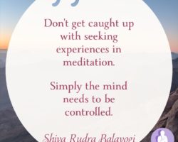 Don’t get caught up with seeking experiences in meditation