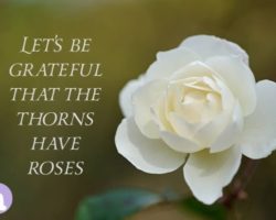 Let’s be grateful that the thorns have roses